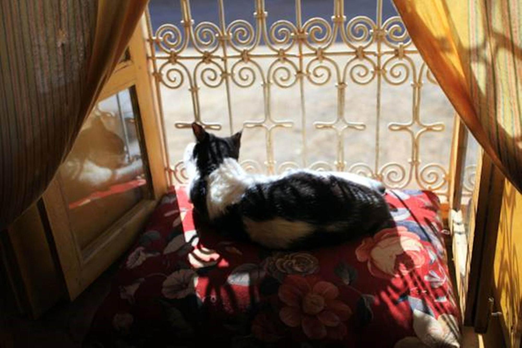 Auberge Chez Julia Merzouga Bagian luar foto